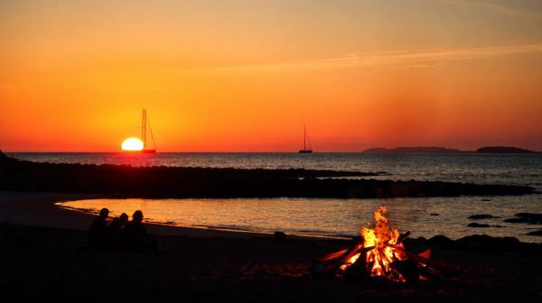 Top campings enchanteurs à découvrir sur l'île de Ré